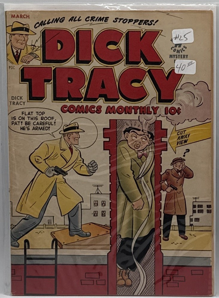 Dick Tracy #25